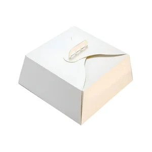 CAJA MULTIUSO CON ASA MANIJA 28X28X12CM X UNIDAD MEDORO - CTGM001 - Image 1