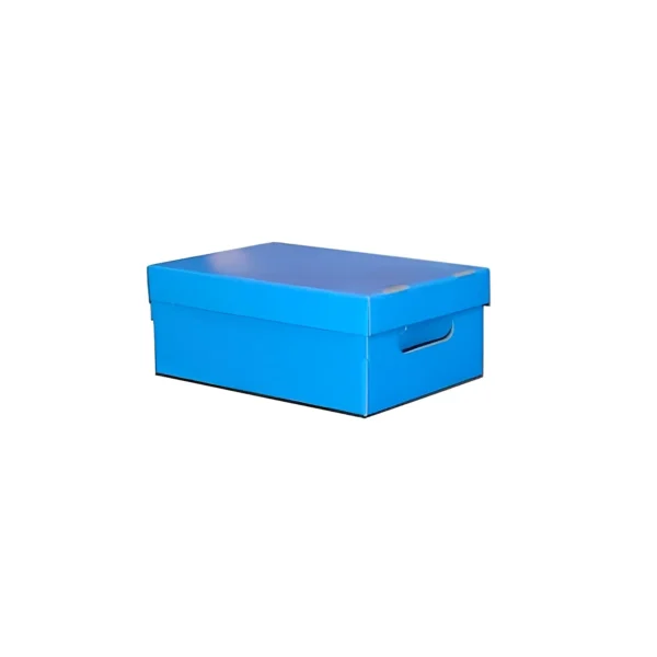 522669634-1.webp