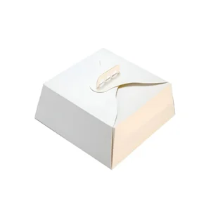 CAJA MULTIUSO CON ASA MANIJA 21X21X11CM X UNIDAD MEDORO - CTCM001 - Image 1