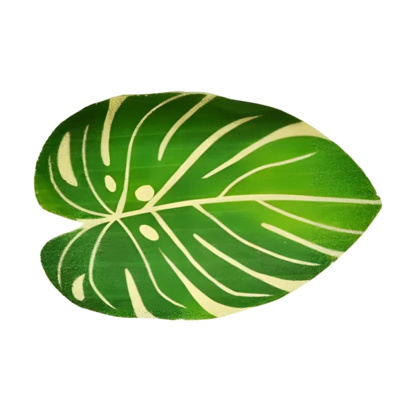 770713496.webp